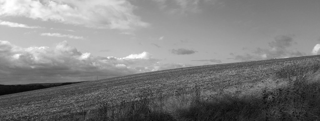 Rolling descending cultivated field