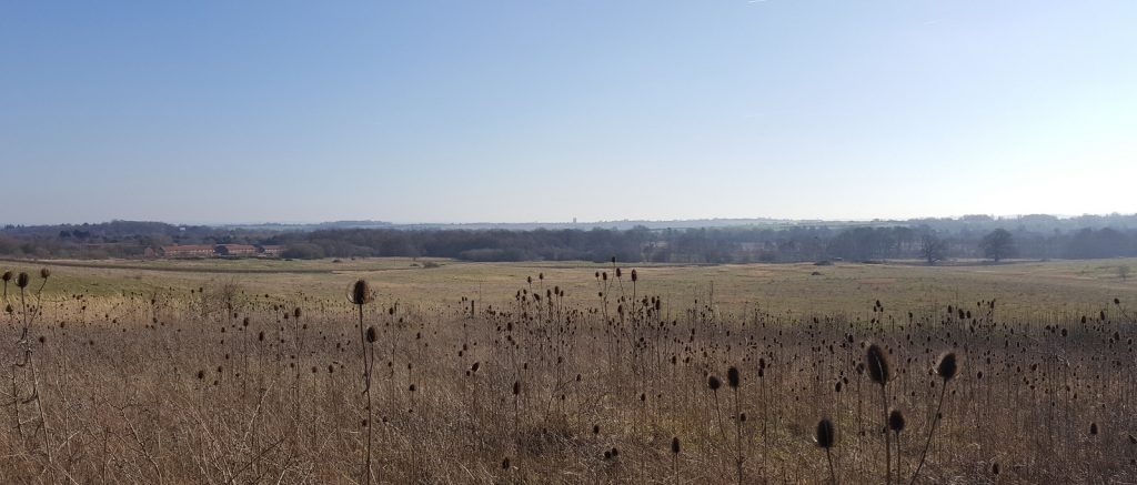 Landscape view over the fields