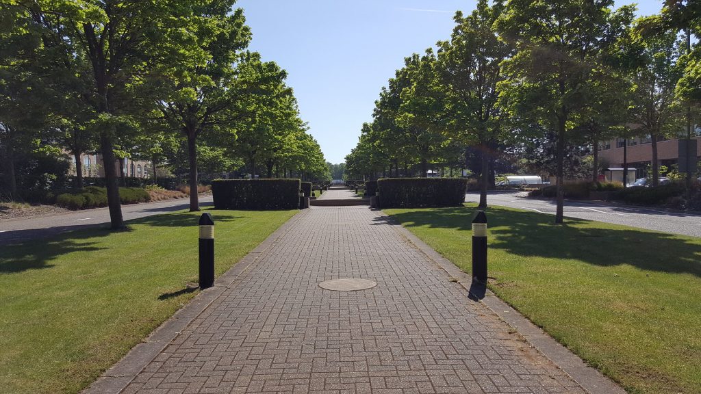 Tree lined avenue