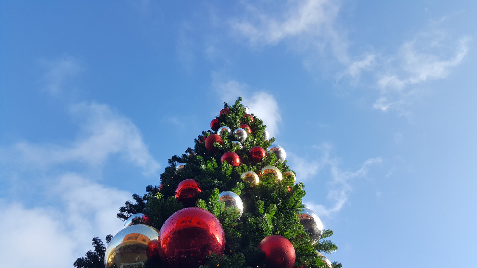 Christmas tree in the sky