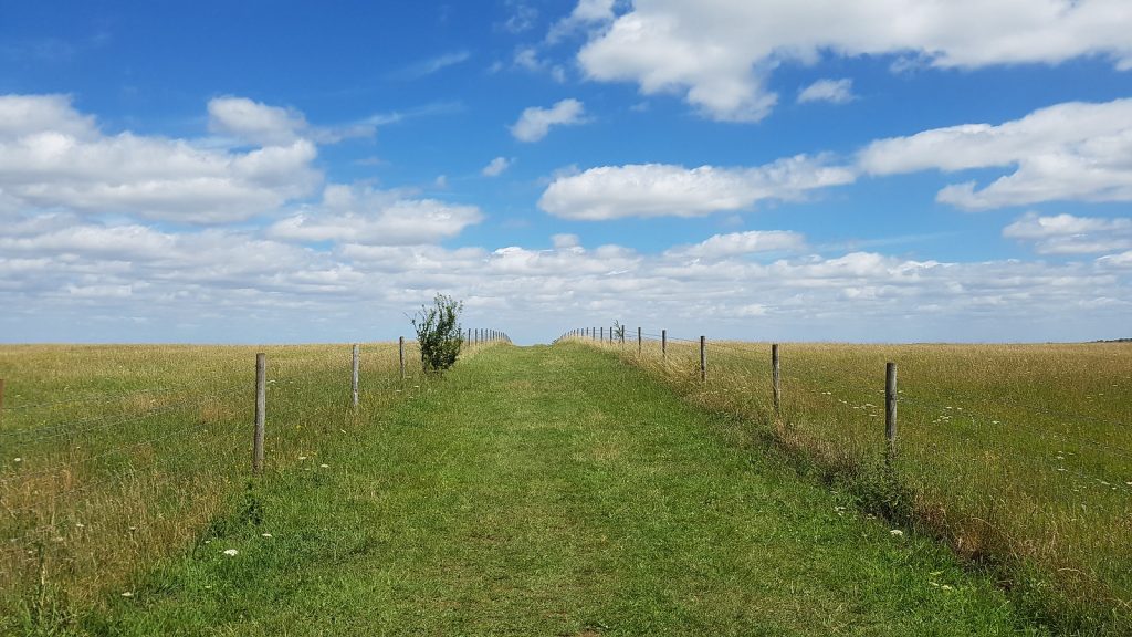 Grass trail over the hill