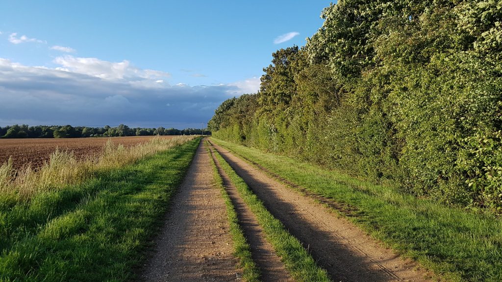 Well trodden rural path