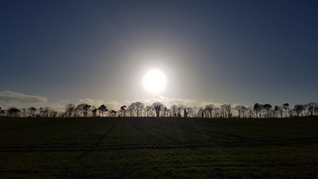 Sun over silhouetted trees