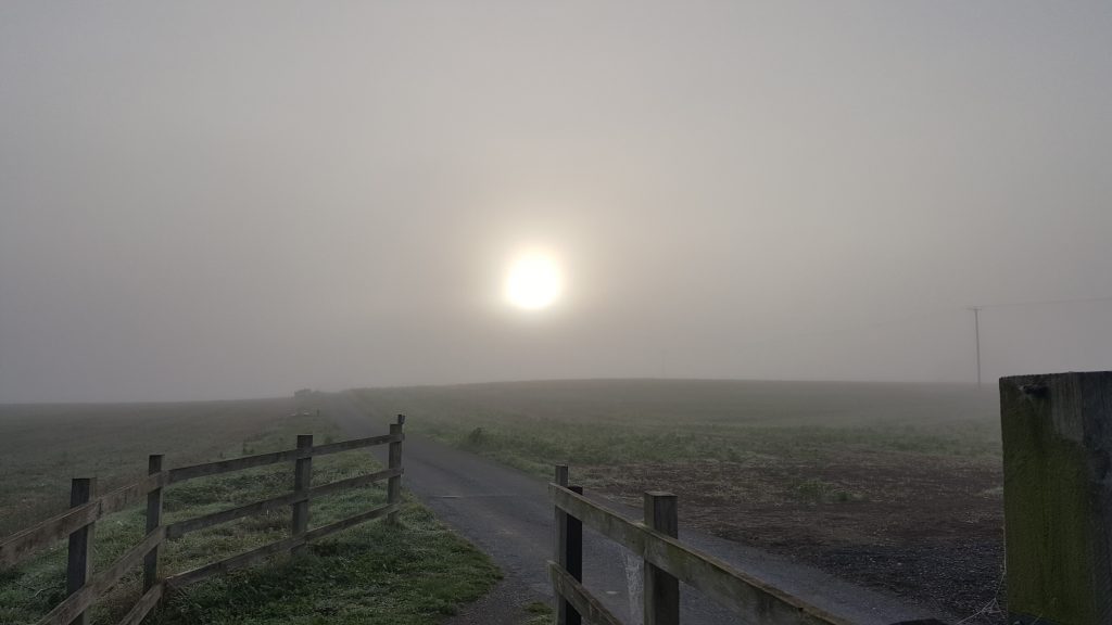 Sun through the fog